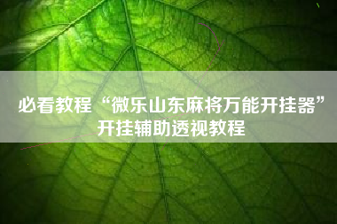 必看教程“微乐山东麻将万能开挂器	”开挂辅助透视教程