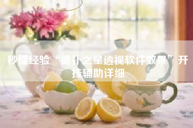 秒懂经验“德扑之星透视软件效果”开挂辅助详细