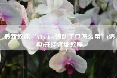 最新教你“AApoker辅助工具怎么用	”(透视)开挂详细教程