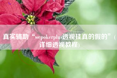 真实辅助“wepokerplus透视挂真的假的”(详细透视教程)