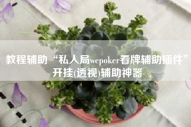 教程辅助“私人局wepoker看牌辅助插件	”开挂(透视)辅助神器