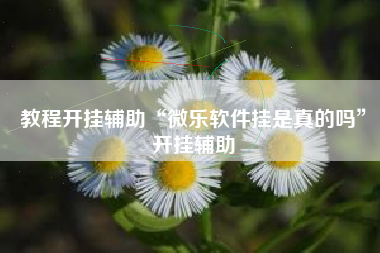 教程开挂辅助“微乐软件挂是真的吗	”开挂辅助