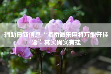 辅助最新信息“海南微乐麻将万能开挂器	”其实确实有挂