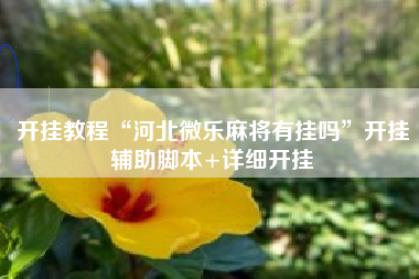 开挂教程“河北微乐麻将有挂吗”开挂辅助脚本+详细开挂