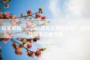 玩家必知“wepoker挂先试用后付款”附开挂脚本详细步骤
