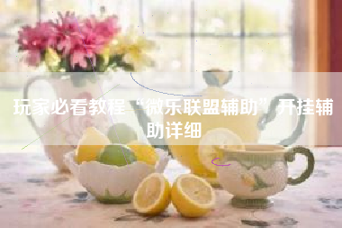 玩家必看教程“微乐联盟辅助”开挂辅助详细