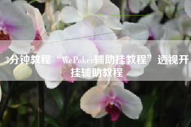 3分钟教程“WePoker辅助挂教程”透视开挂辅助教程