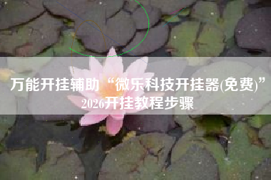 万能开挂辅助“微乐科技开挂器(免费)”2026开挂教程步骤