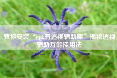 教你安装“wpk有透视辅助嘛	”揭秘透视辅助万能挂用法