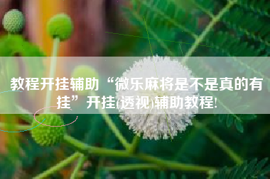 教程开挂辅助“微乐麻将是不是真的有挂”开挂(透视)辅助教程!