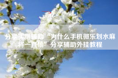 分享实测辅助“为什么手机微乐划水麻将一直输”分享辅助外挂教程