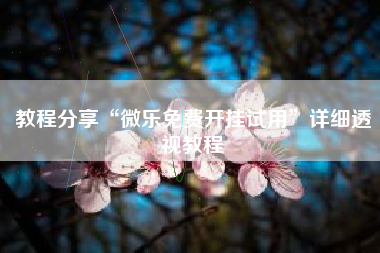 教程分享“微乐免费开挂试用	”详细透视教程