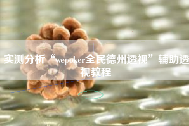 实测分析“wepoker全民德州透视”辅助透视教程