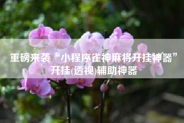 重磅来袭“小程序雀神麻将开挂神器	”开挂(透视)辅助神器