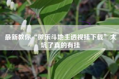 最新教你“微乐斗地主透视挂下载”太坑了真的有挂