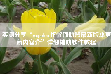 实测分享“wepoker作弊辅助器最新版本更新内容介	”详细辅助软件教程