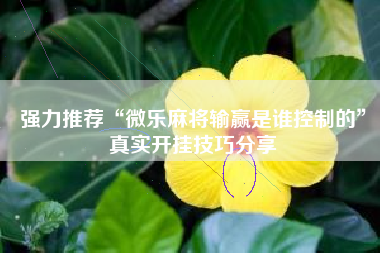 强力推荐“微乐麻将输赢是谁控制的	”真实开挂技巧分享