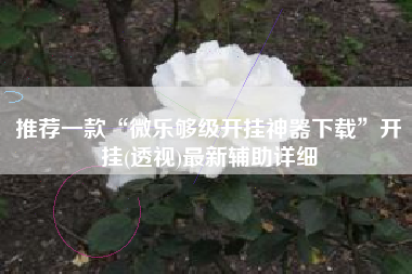 推荐一款“微乐够级开挂神器下载	”开挂(透视)最新辅助详细