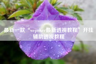 最新一款“wepoKer最新透视教程”开挂辅助透视教程