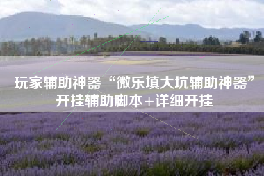 玩家辅助神器“微乐填大坑辅助神器”开挂辅助脚本+详细开挂