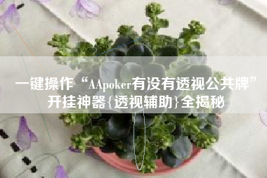 一键操作“AApoker有没有透视公共牌	”开挂神器{透视辅助}全揭秘