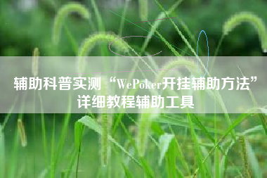 辅助科普实测“WePoker开挂辅助方法”详细教程辅助工具