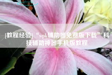 [教程经验]“wpk辅助器免费版下载”科技辅助神器手机版教程