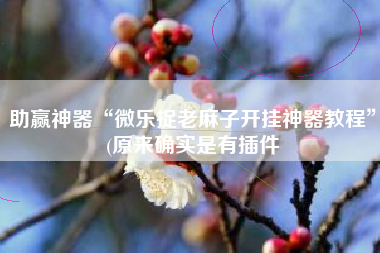 助赢神器“微乐捉老麻子开挂神器教程”(原来确实是有插件