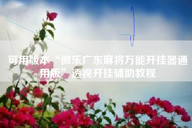 可用版本“微乐广东麻将万能开挂器通用版”透视开挂辅助教程