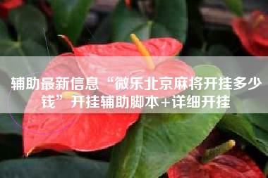 辅助最新信息“微乐北京麻将开挂多少钱”开挂辅助脚本+详细开挂