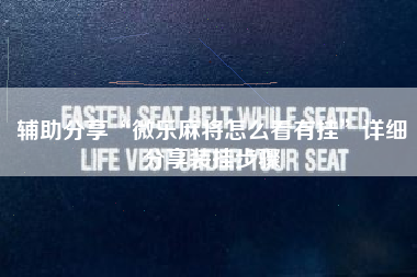 辅助分享“微乐麻将怎么看有挂”详细分享装挂步骤