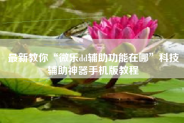 最新教你“微乐dd辅助功能在哪	”科技辅助神器手机版教程
