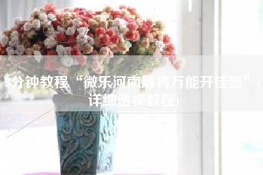 3分钟教程“微乐河南麻将万能开挂器	”(详细透视教程)