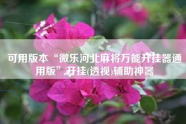 可用版本“微乐河北麻将万能开挂器通用版”开挂(透视)辅助神器