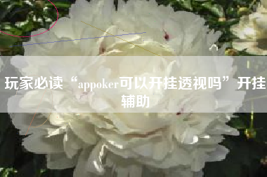 玩家必读“appoker可以开挂透视吗”开挂辅助