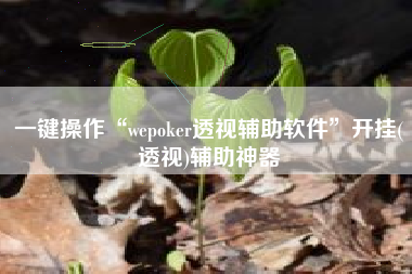 一键操作“wepoker透视辅助软件”开挂(透视)辅助神器