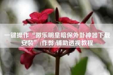 一键操作“微乐明皇暗保外卦神器下载安装	”(作弊)辅助透视教程