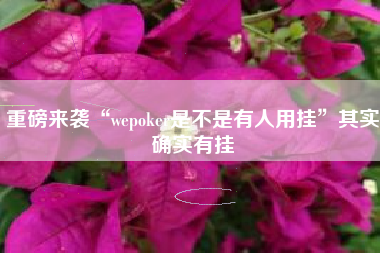 重磅来袭“wepoker是不是有人用挂”其实确实有挂