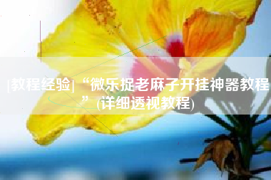 [教程经验]“微乐捉老麻子开挂神器教程”(详细透视教程)