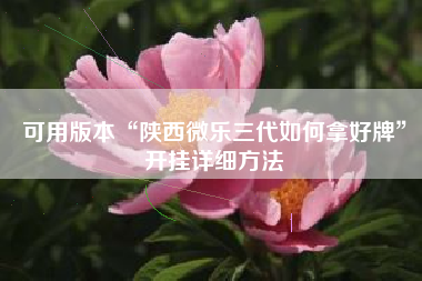 可用版本“陕西微乐三代如何拿好牌”开挂详细方法