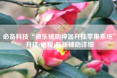 必备科技“微乐辅助神器开挂苹果系统”开挂(透视)最新辅助详细