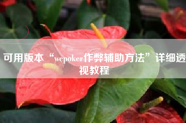 可用版本“wepoker作弊辅助方法”详细透视教程
