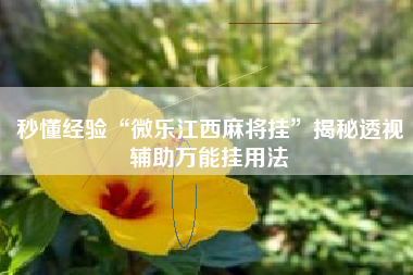 秒懂经验“微乐江西麻将挂	”揭秘透视辅助万能挂用法