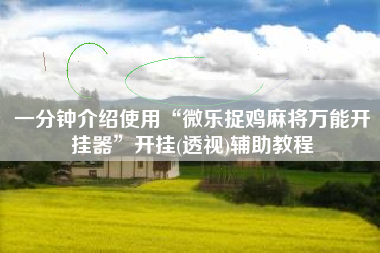 一分钟介绍使用“微乐捉鸡麻将万能开挂器”开挂(透视)辅助教程