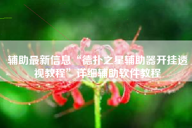 辅助最新信息“德扑之星辅助器开挂透视教程”详细辅助软件教程