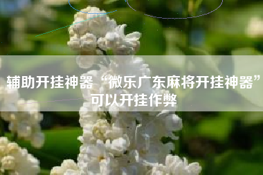 辅助开挂神器“微乐广东麻将开挂神器	”可以开挂作弊