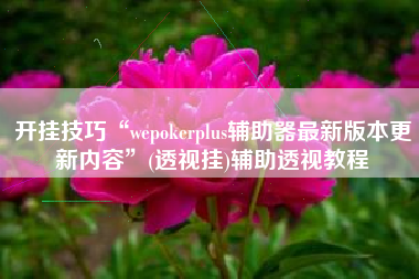 开挂技巧“wepokerplus辅助器最新版本更新内容”(透视挂)辅助透视教程
