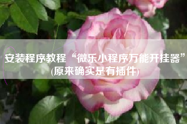 安装程序教程“微乐小程序万能开挂器”(原来确实是有插件)