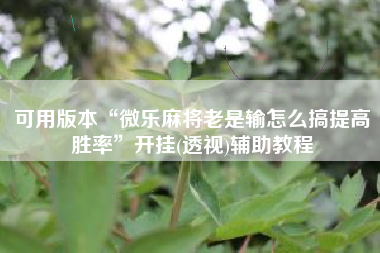 可用版本“微乐麻将老是输怎么搞提高胜率”开挂(透视)辅助教程