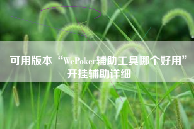 可用版本“WePoker辅助工具哪个好用”开挂辅助详细